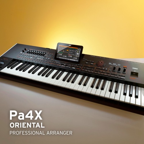 Download style song korg pa50